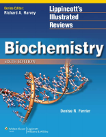 Lippincott - Biochemistry 6th 2014.pdf